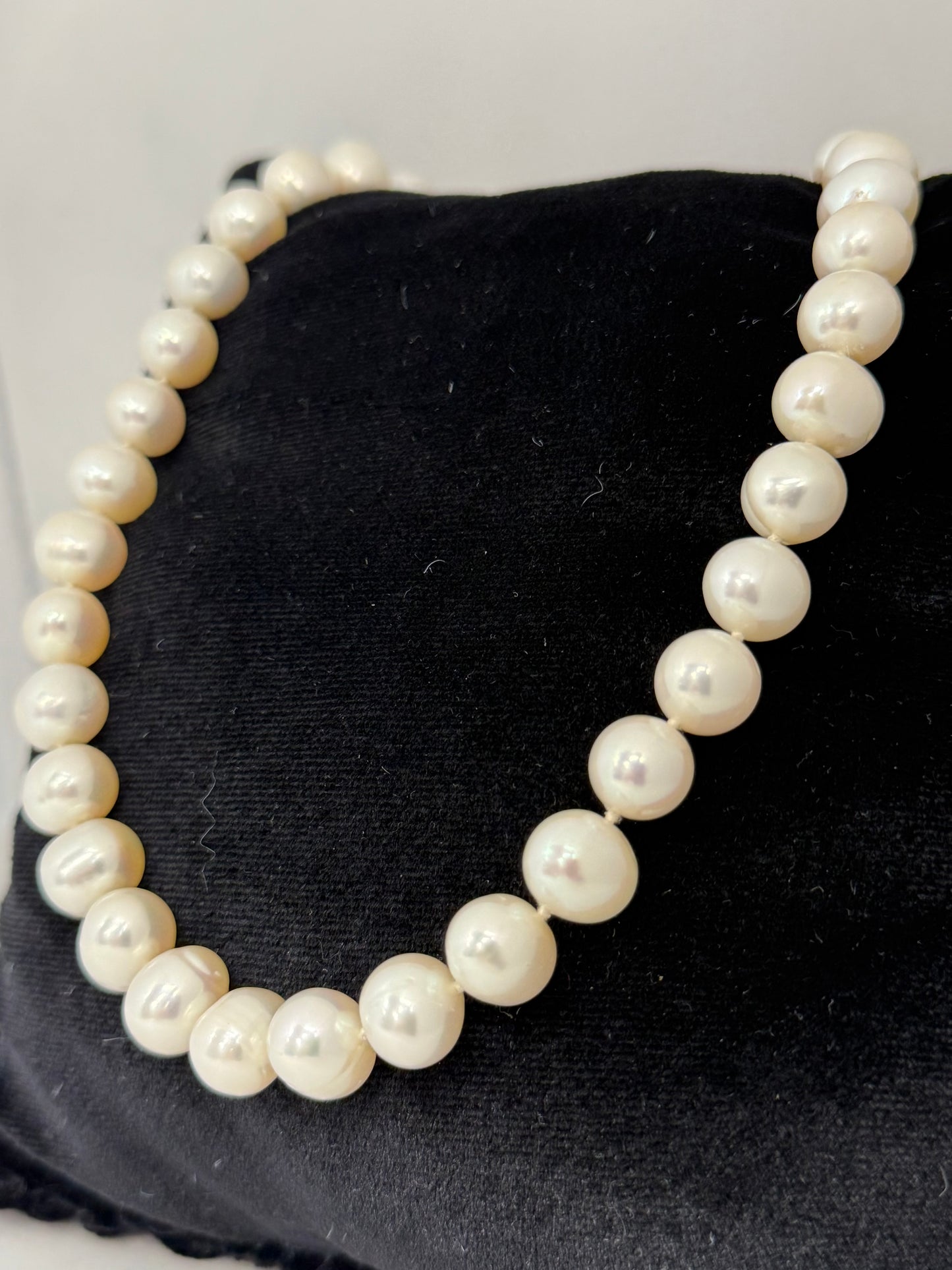 Freshwater Potato Pearl Strand